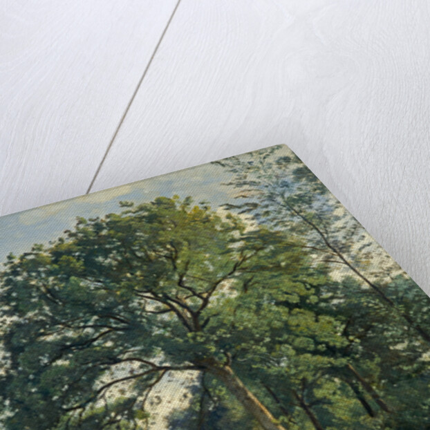 Ville-d'Avray: Entrance to the Wood by Jean-Baptiste Camille Corot